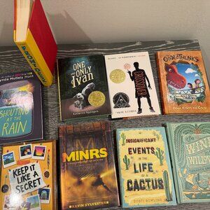 AMAZING LOT OF GRADE 3-5 CHAPTER BOOK STARTER KIT - HAND-CURATED FOR YOU!